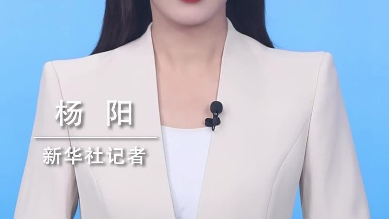 大数据分析证书：国家认可，职业发展的新阶梯
